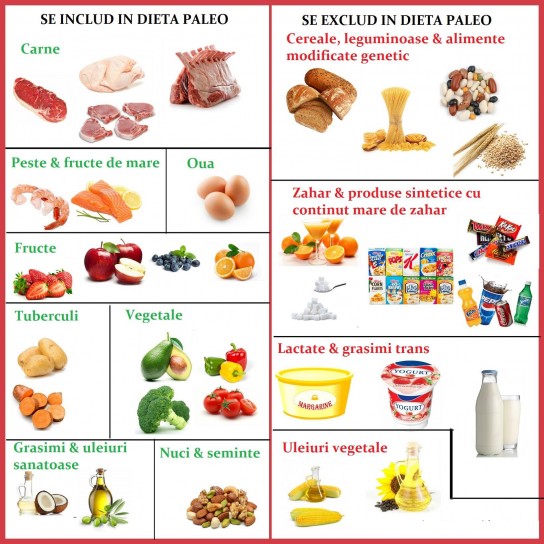 dieta paleo